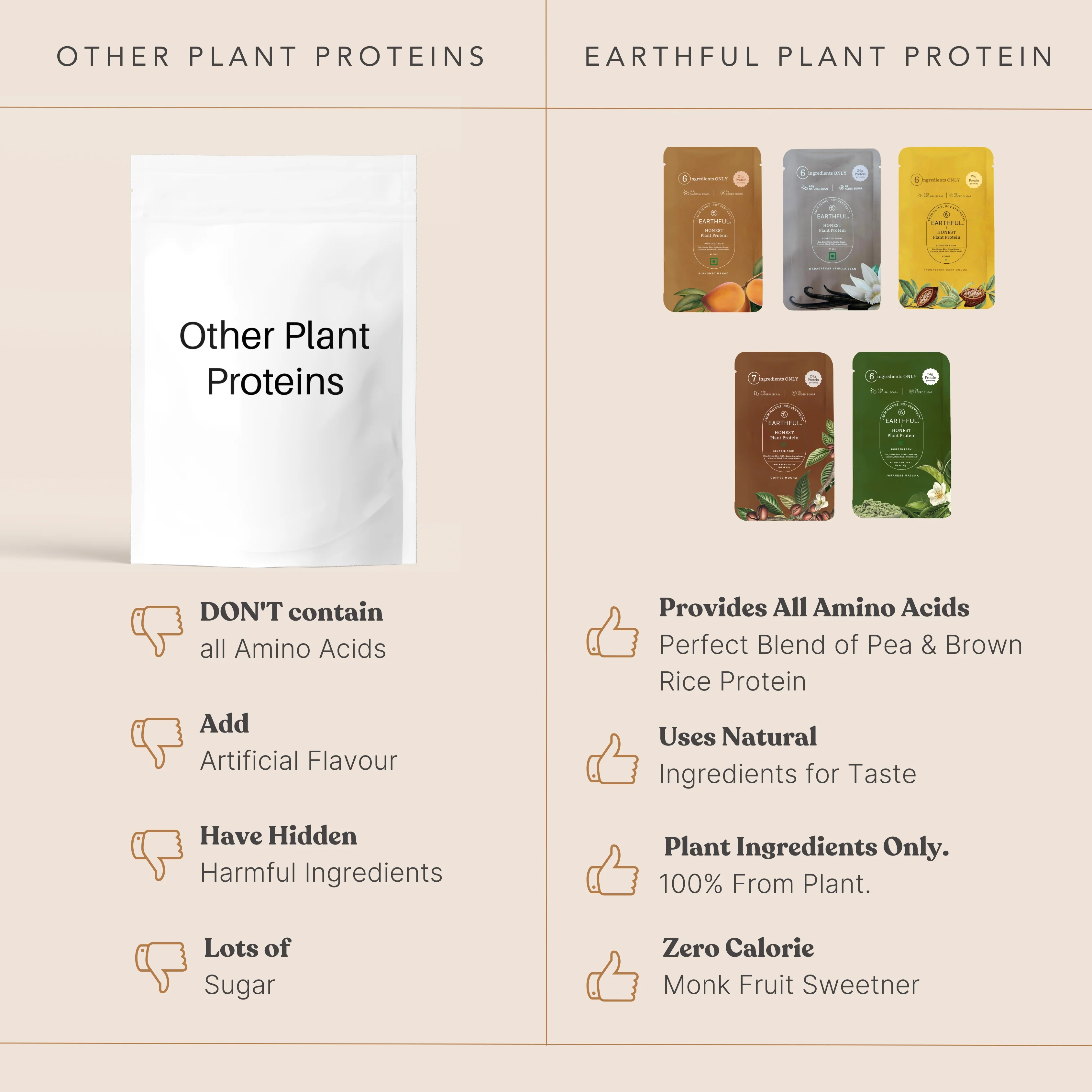 Honest Plant Protein - Assorted Pack - Image 5