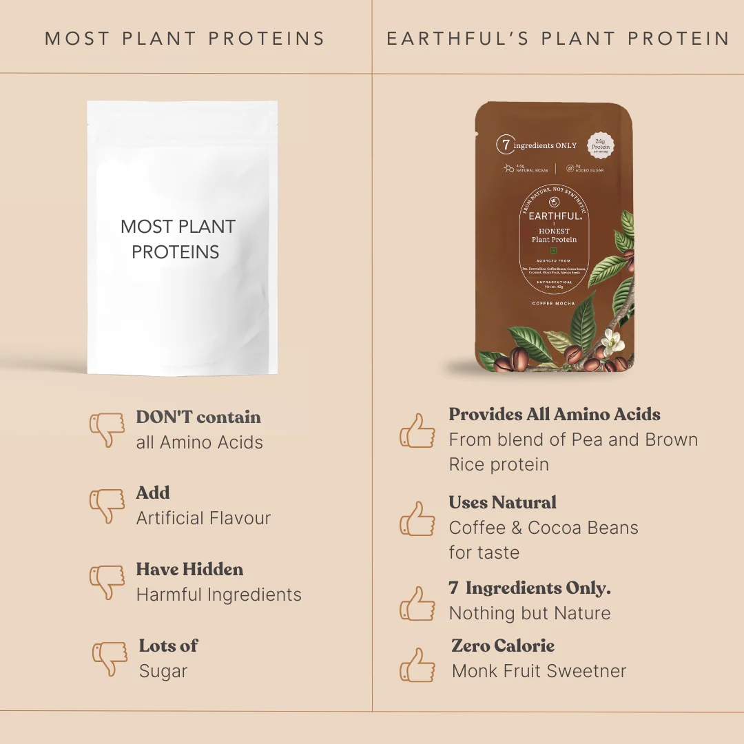 Honest Plant Protein - Coffee Mocha - Image 14