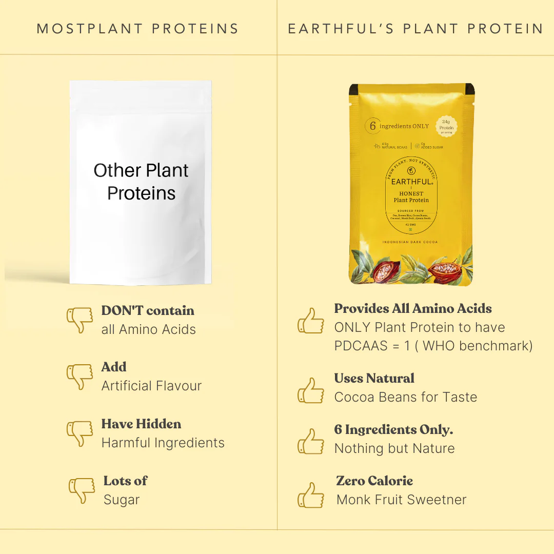 Honest Plant Protein - Indonesian Cocoa - Image 16