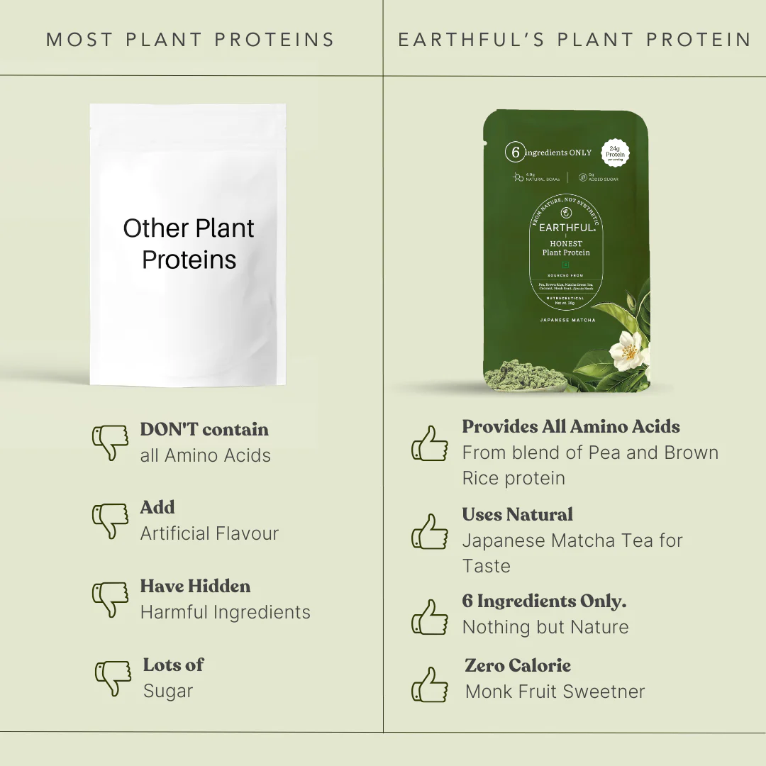 Honest Plant Protein - Japanese Matcha - Image 15