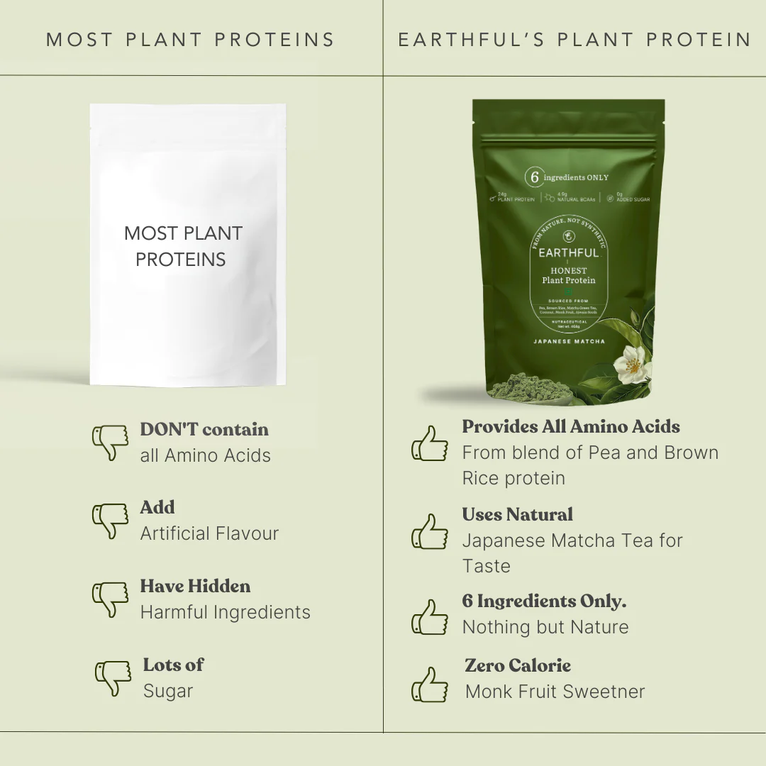 Honest Plant Protein - Japanese Matcha - Image 4