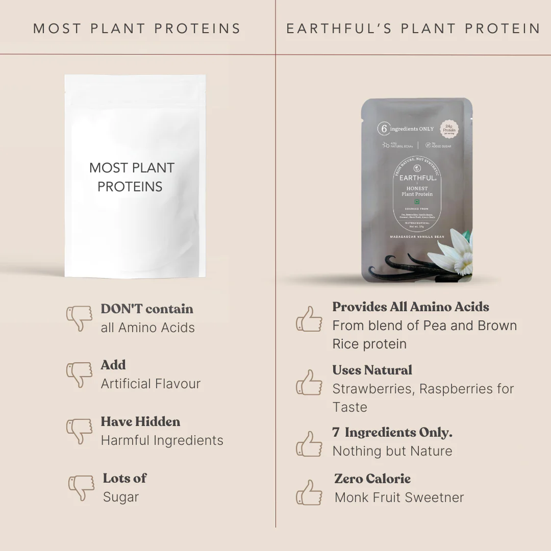 Honest Plant Protein- Madagascar Vanilla - Image 13