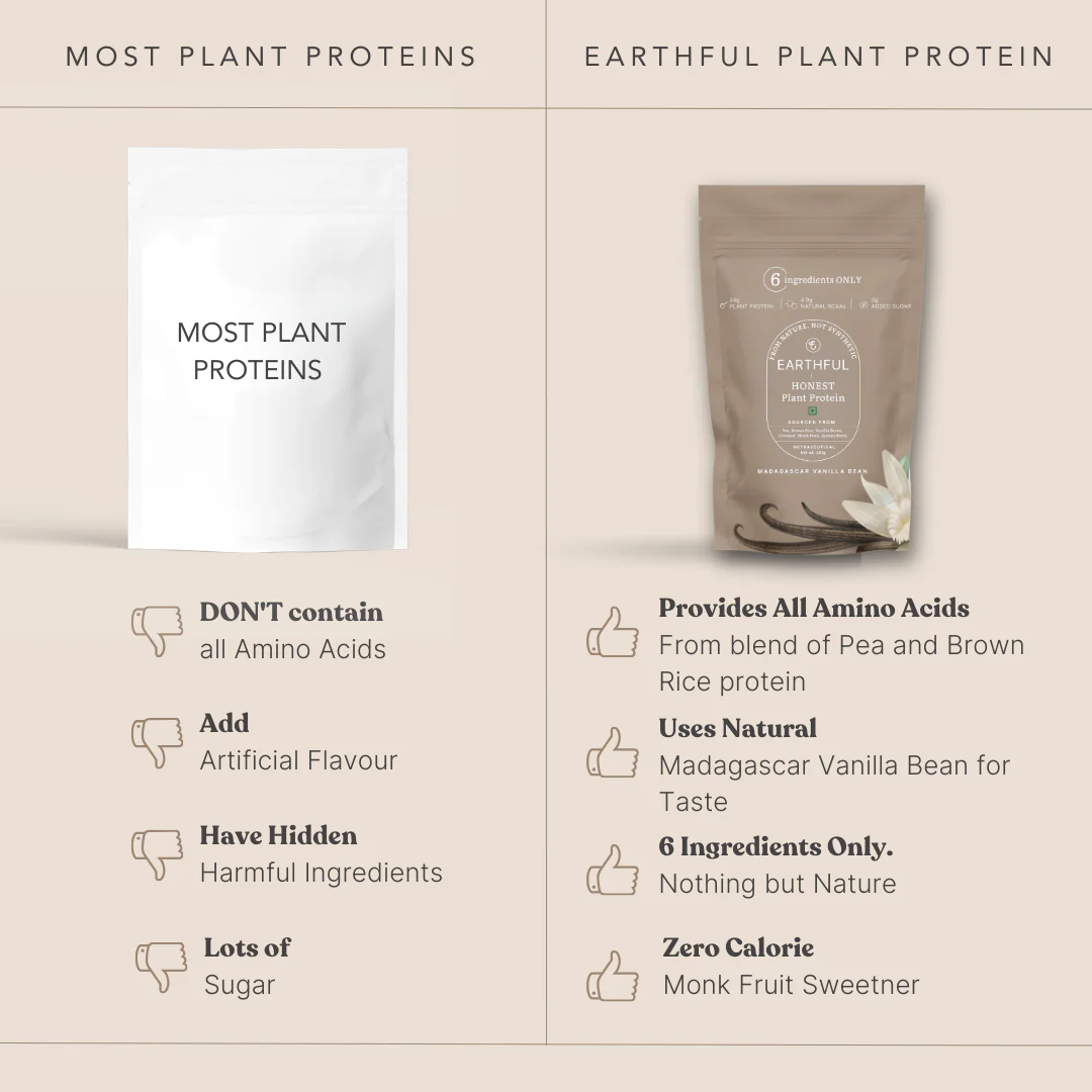 MonkSweet + Plant Protein - Madagascar Vanilla Combo - Image 5