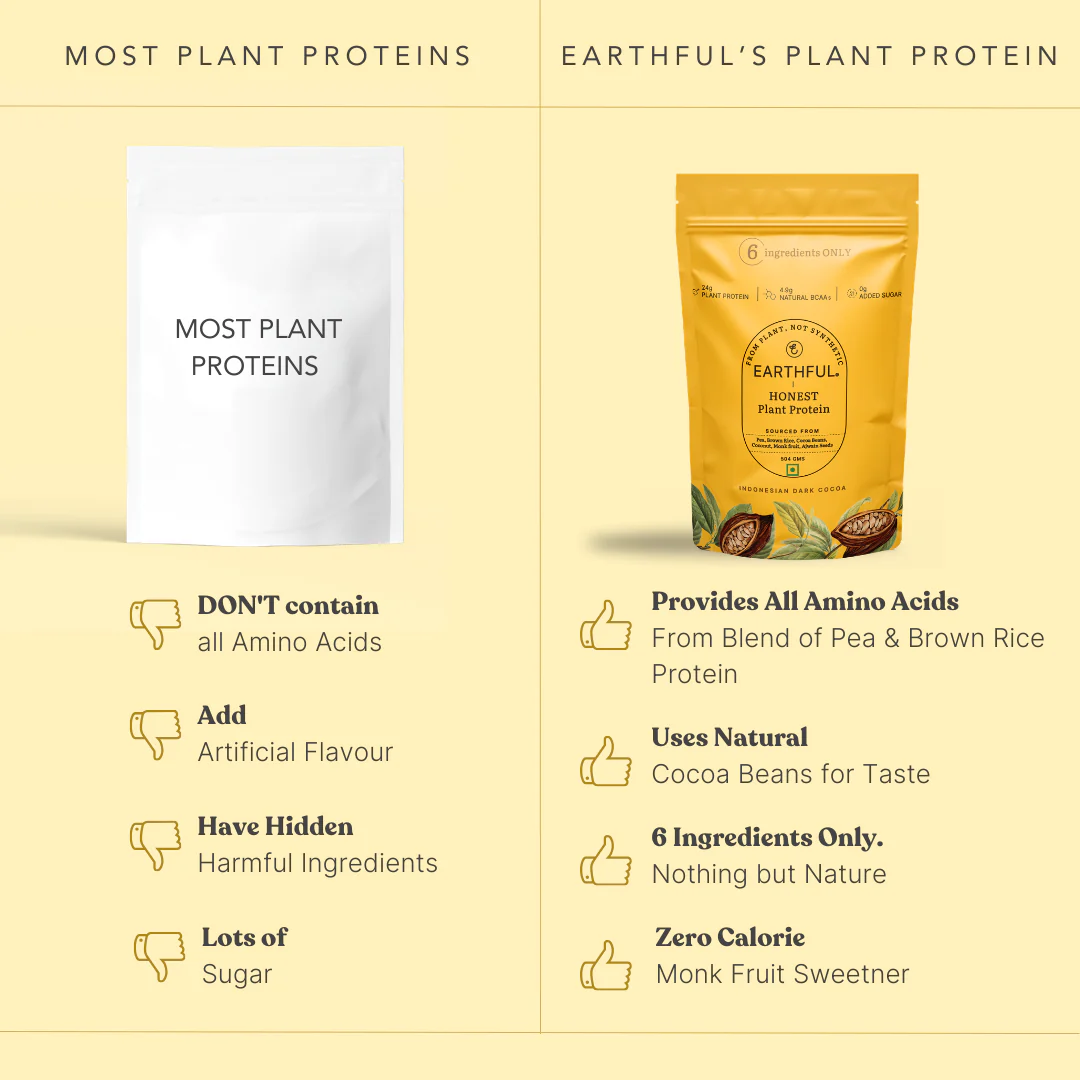 MonkSweet + Plant Protein - Indonesian Cocoa Combo - Image 5